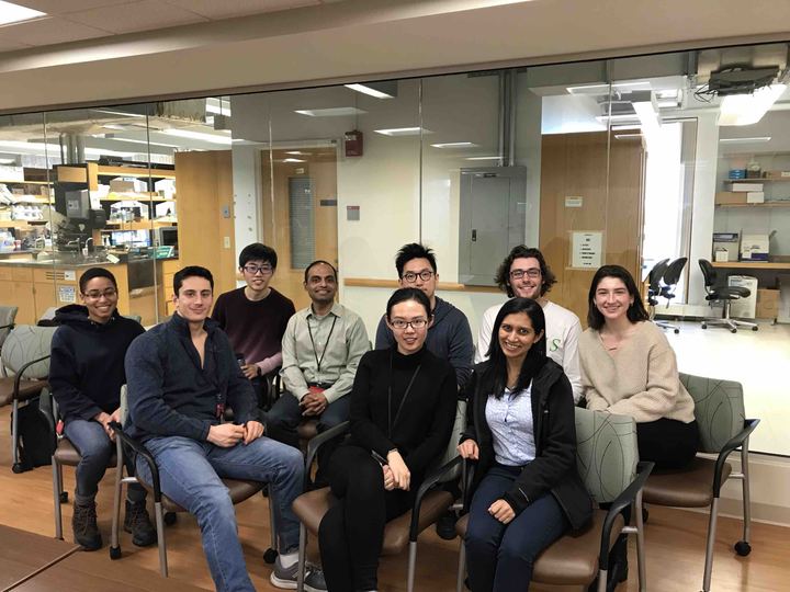 The lab, December 2018